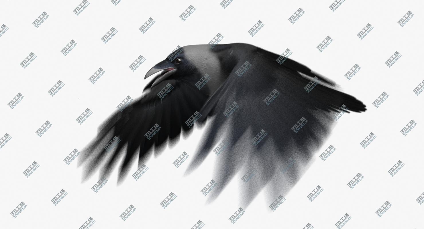 images/goods_img/2021040163/House Crow (Animated)/2.jpg